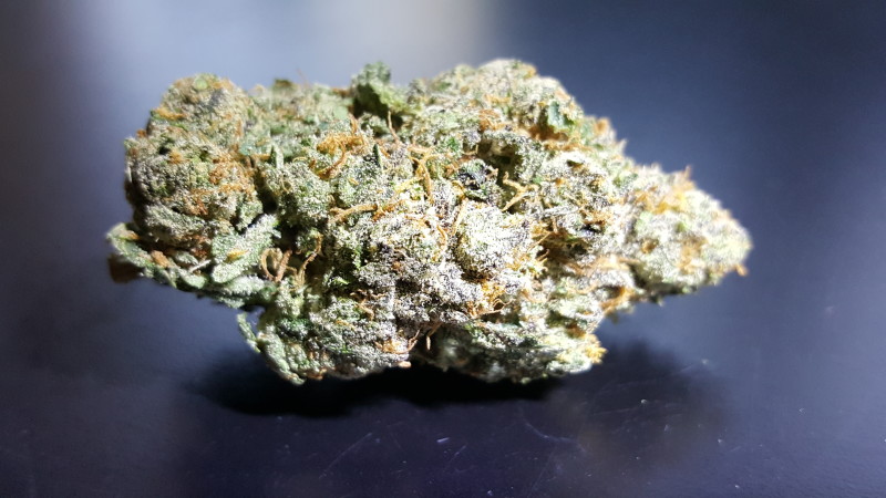 Purple-Haze-Strain.jpg