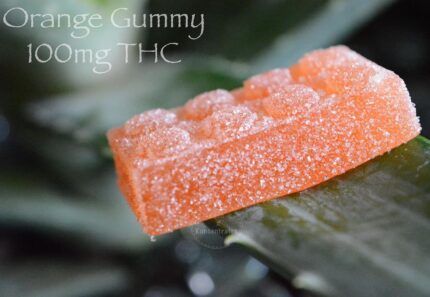 Orange Gummy